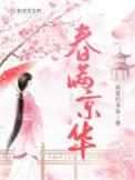 春满京华免费阅读完整版