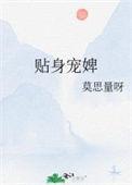 贴身宠婢番外