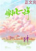 像风一样自由许巍