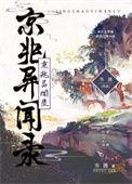 京兆府探案录讲什么