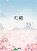 归燕讲的是什么