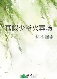 真假少爷火葬场全集