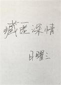藏匿爰意