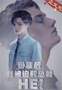 卧底后我成了最终boss千层叠