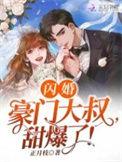 闪婚豪门大佬后短剧80集