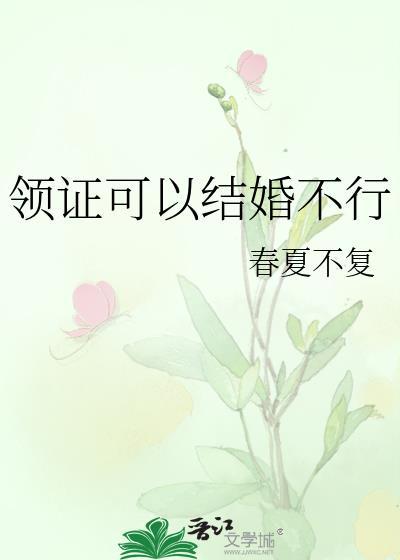 领证可以结婚不行在线看