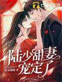 陆少宠妻太甜蜜 目录