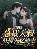 大叔闪婚总裁短剧