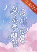 白月光钓系TXT在线阅读