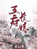 王府长媳讲的什么