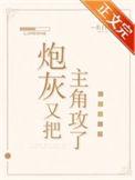 炮灰又又又掉马甲了
