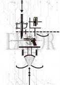蝶变高考