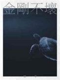 金刚不坏电影
