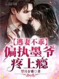 逃妻不乖偏执墨爷疼上瘾有番外吗