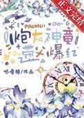 炮爷灰产大佬