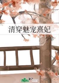 清穿之宠妃系统妩媚