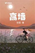 高墙无归途短剧