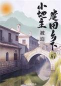 小地主被迫出卖土地