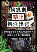幼崽期禁止携汪出逃百度