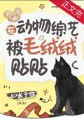 代理公司有哪些部门