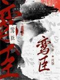 鸾臣txt