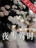 夜雪的作品