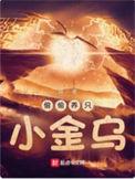 偷偷养只小金乌境界体系