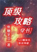 顶级攻略系统