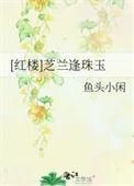 红楼之芝兰逢珠玉txt