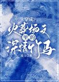 穿成火葬场文的前男友免费阅读