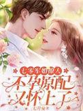 七零军婚养崽爽文推荐