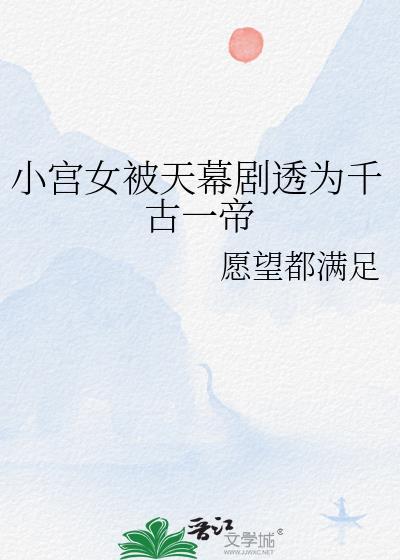 小宫女电视剧