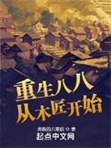 重生八零当木匠