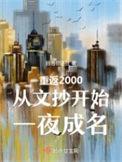 重返2000从文抄开始一夜成名TXT棉花糖