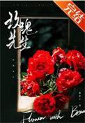 玫瑰先生txt番外