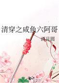 清穿之六阿哥胤祚