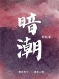 暗潮缉凶电视剧剧情介绍免费观看