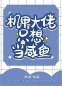 机甲大哥11