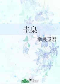 圭臬什么意思怎么读