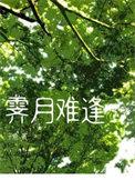 霁月难逢by子鹿txt无删减百度资源