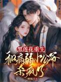 黑莲花攻穿越受