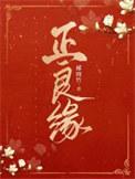 正良缘番外txt百度