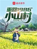 重回1986小山村百度
