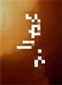 笼中月碎