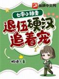 七零小辣妻退伍糙汉