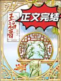 清穿福晋很暴