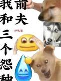 我与三位前夫by天天休息剧情解析