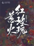 惹火红玫瑰的主要内容