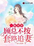 一胎双宝亿万总裁替孕宠妻免费阅读