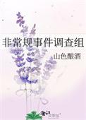 非常规事件调查组工作总结